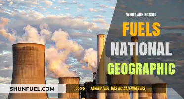 Fossil Fuels: National Geographic's Comprehensive Guide