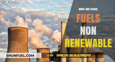 Fossil Fuels: Non-Renewable Energy's Dark Side