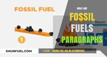 Fossil Fuels: Energy Sources and Environmental Impact
