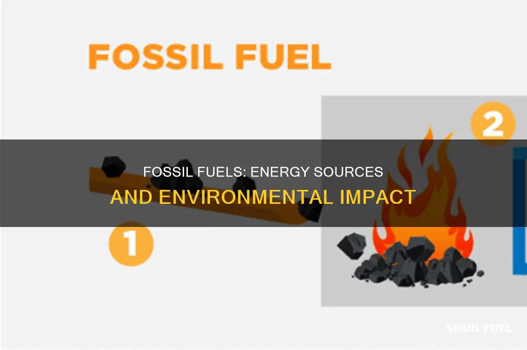 what are fossil fuels paragraphs