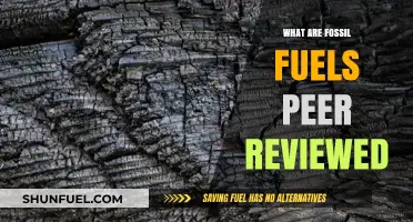 Fossil Fuels: A Peer-Reviewed Overview