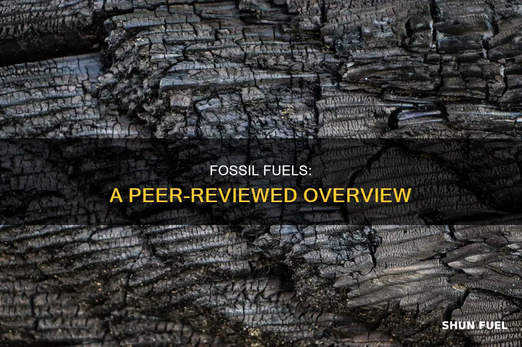 what are fossil fuels peer reviewed