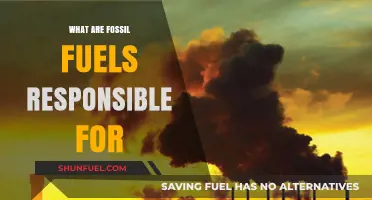 Fossil Fuels: The Climate Change Culprit