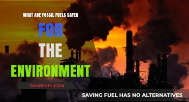 Fossil Fuels: Environmentally Safe or Not?