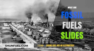 Fossil Fuels: Slides to Understand Our Energy Past