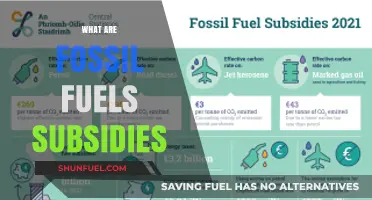 Fossil Fuel Subsidies: Money for Polluting Our Planet