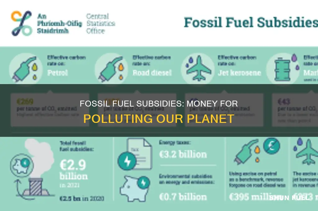 what are fossil fuels subsidies