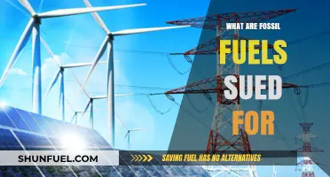 Fossil Fuels: Powering Our World, But for How Long?