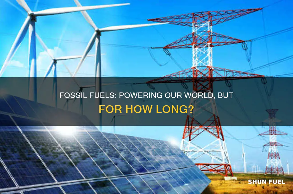 what are fossil fuels sued for