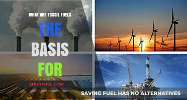 Fossil Fuels: The Basis for Modern Energy