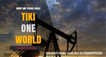 Fossil Fuels: Past, Present, and Future Energy Sources