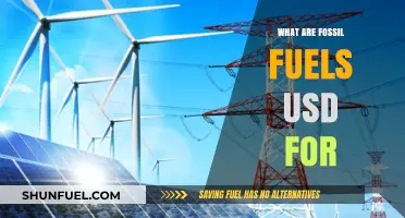 Fossil Fuels: Powering Our World, But How?