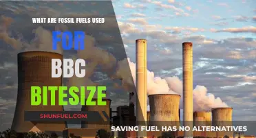 Fossil Fuels: Powering Our World, Uses and Impacts
