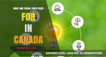 Canada's Fossil Fuel Usage: Powering the Nation