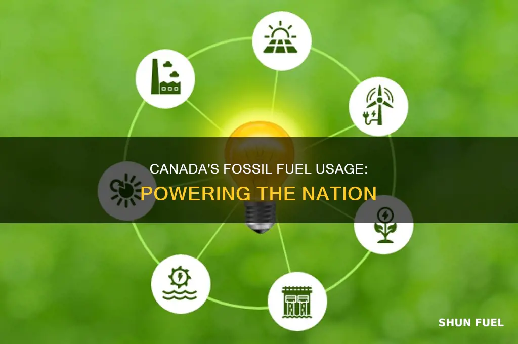 what are fossil fuels used for in canada