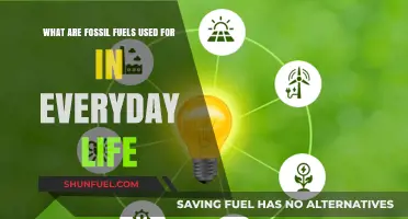 Fossil Fuels: Powering Our Everyday Lives