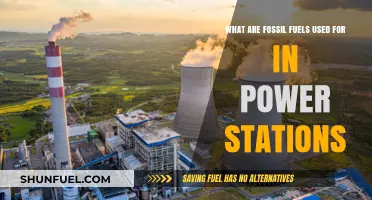Fossil Fuels in Power Stations: Uses, Importance, and Environmental Impact