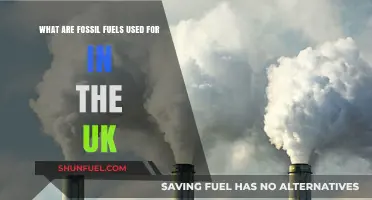 Fossil Fuels: Powering the UK's Energy Needs