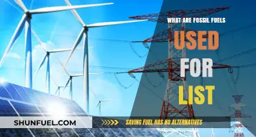 Fossil Fuels: Powering Our World, Uses and Abuses