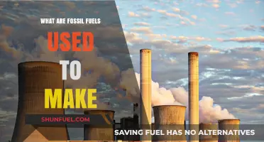 Fossil Fuels: Powering and Creating Our World