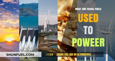 Fossil Fuels: Powering Our World, But How?