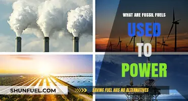 Fossil Fuels: Powering Our World, But How?