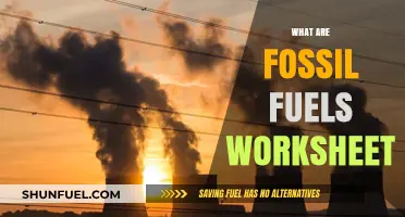 Fossil Fuels Worksheet: Energy's Past and Future