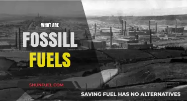 Fossil Fuels: Energy Sources of the Past