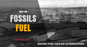 Fossil Fuels: Energy of the Past
