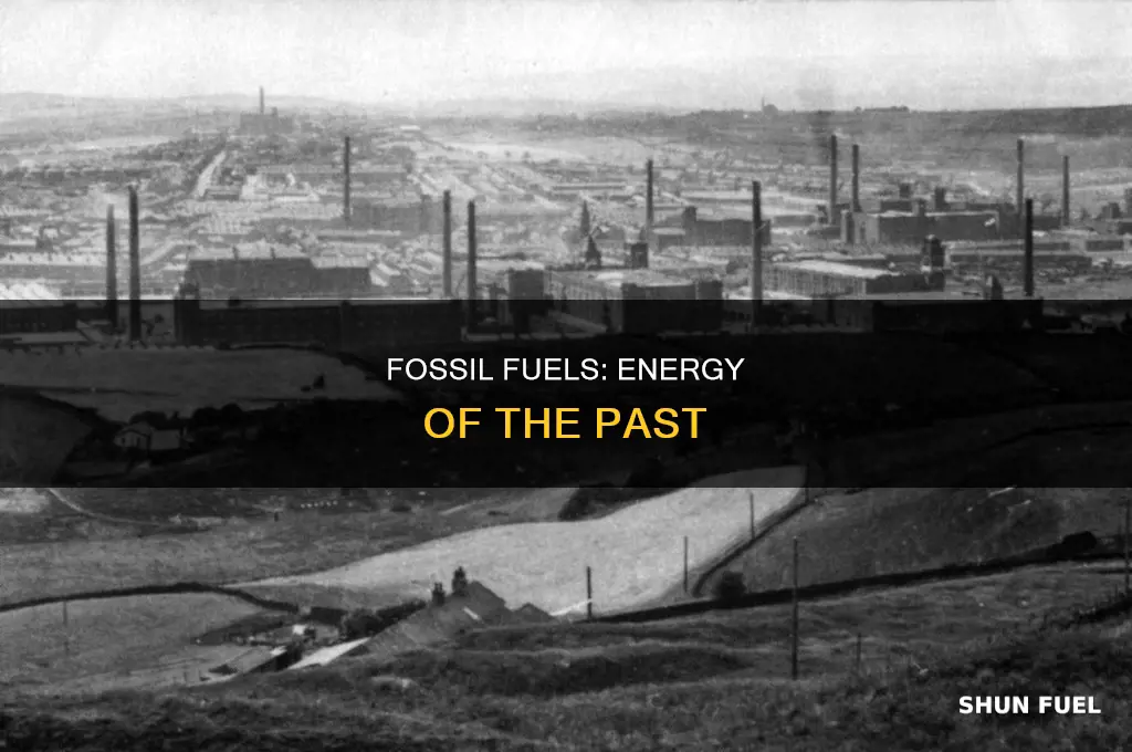 what are fossils fuel