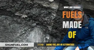 Fossil Fuels: Ancient Organic Matter's Transformation