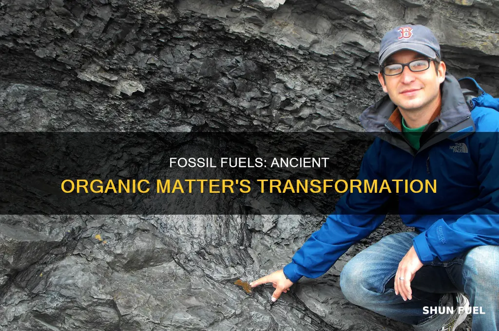 what are fossils fuels made of