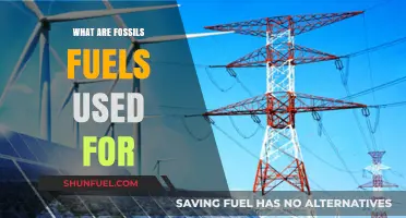 Fossil Fuels: Powering Our World, But For How Long?