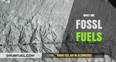 Understanding Fossil Fuels: Origins, Uses, and Environmental Impact Explained