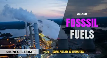 Understanding Fossil Fuels: Origins, Uses, and Environmental Impact Explained