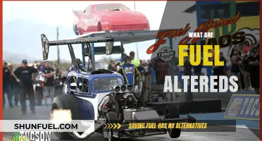 Exploring Fuel Altereds: History, Design, and Racing Legacy Unveiled