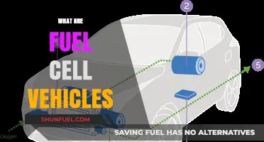 Understanding Fuel Cell Vehicles: Clean Energy Transportation Explained