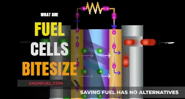 Understanding Fuel Cells: A Concise Bitesize Guide to Clean Energy