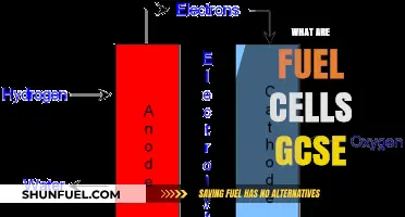 Understanding Fuel Cells: GCSE Science Explained Simply and Clearly