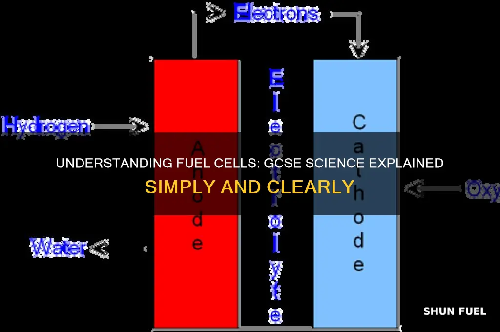 what are fuel cells gcse
