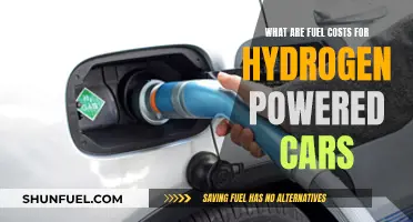 Hydrogen Cars: Fuel Costs and the Future of Driving