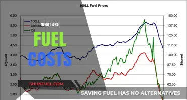 Understanding Fuel Costs: Factors, Trends, and Impact on Your Budget