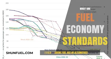 Understanding Fuel Economy Standards: Impact, Importance, and Implementation