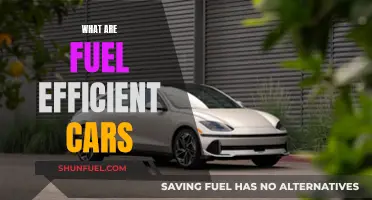 Fuel-Efficient Cars: How to Choose the Best One?