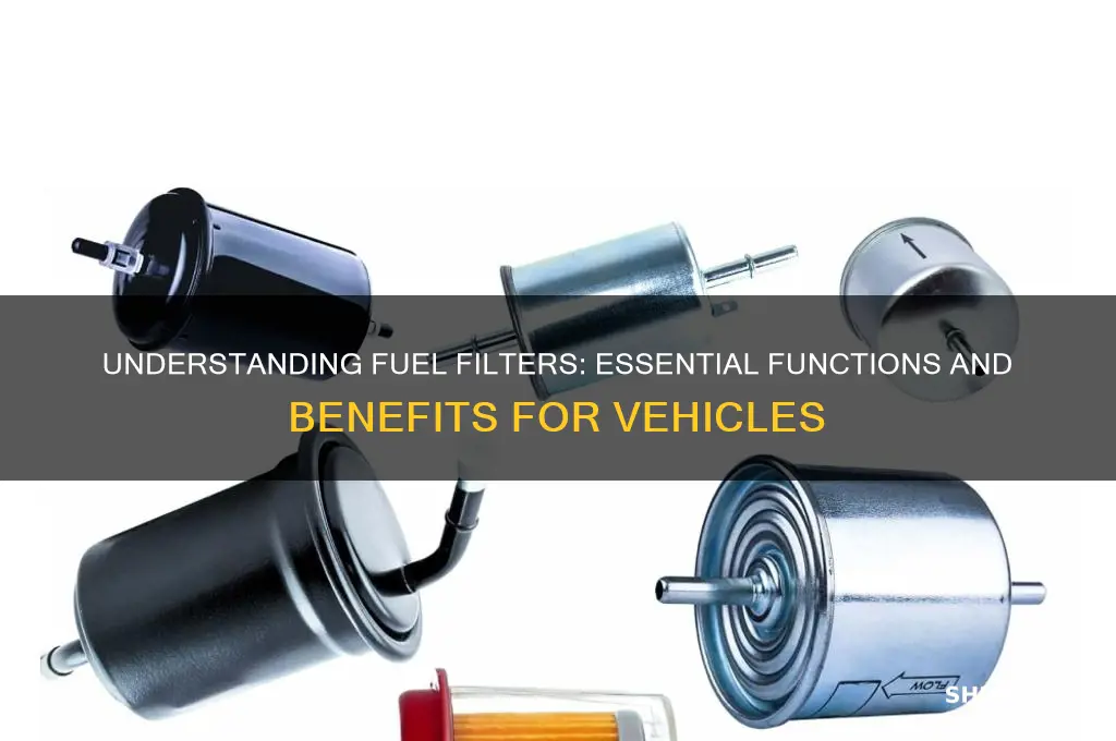 what are fuel filters used for