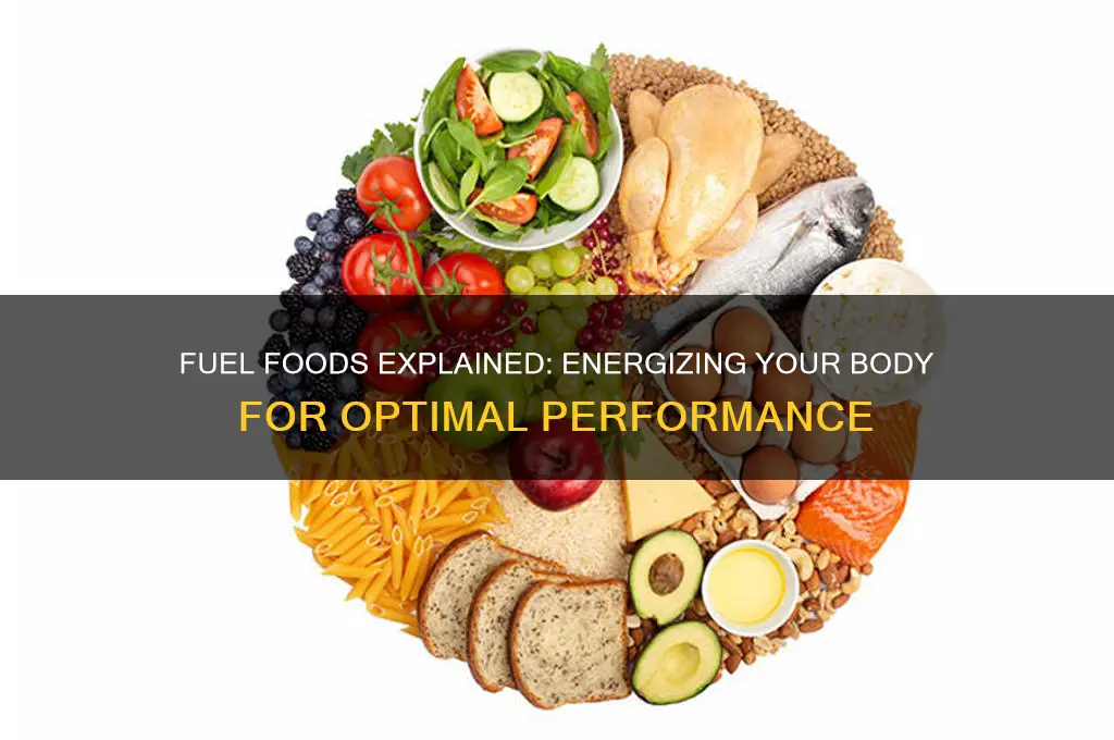 what are fuel foods