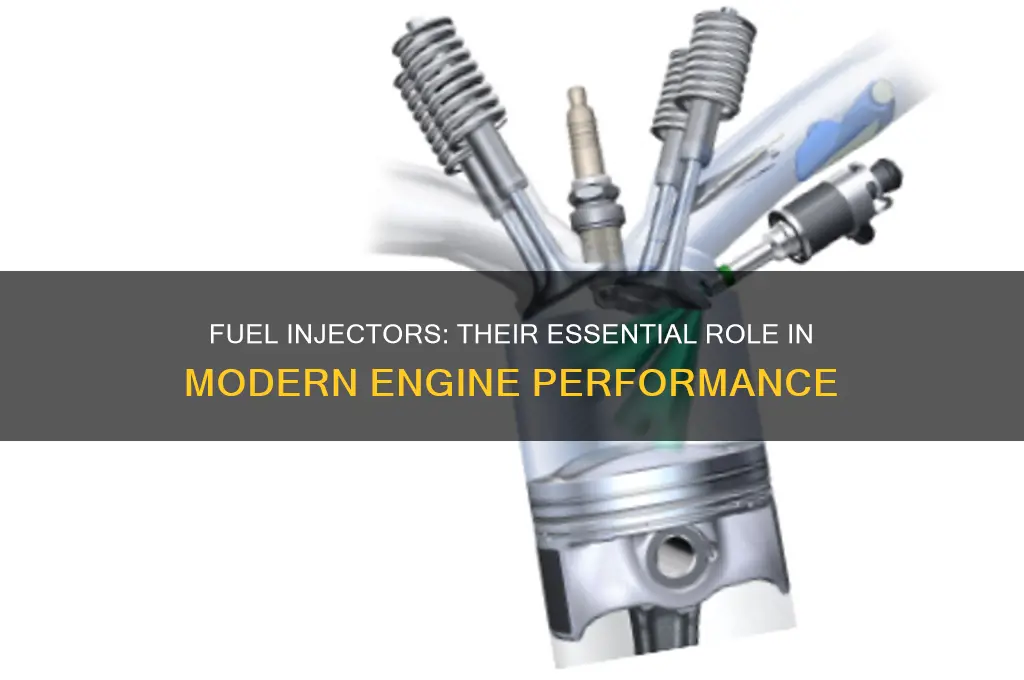 what are fuel injectors used for