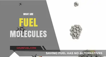 Understanding Fuel Molecules: Structure, Function, and Energy Conversion Explained