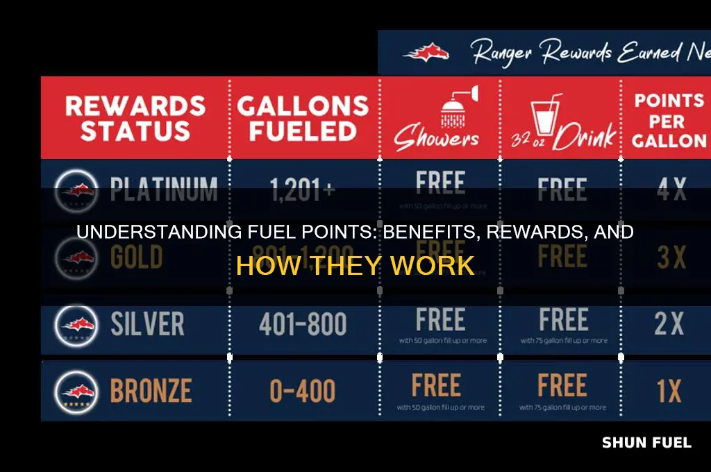 what are fuel points