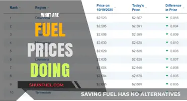 Understanding the Current Trends and Factors Influencing Fuel Prices Today
